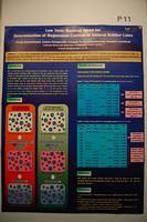 ISE poster 11