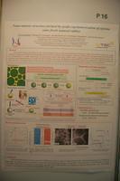 ISE poster 16